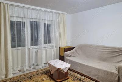 Apartament cu 2 camere semidecomandat în Budeasa - 4
