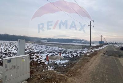 Teren de 6210 mp, în Ciolpani - 4