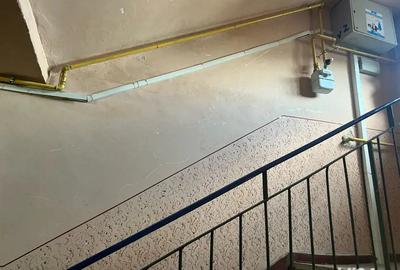 Apartament cu 2 camere decomandat în Crihala - 7