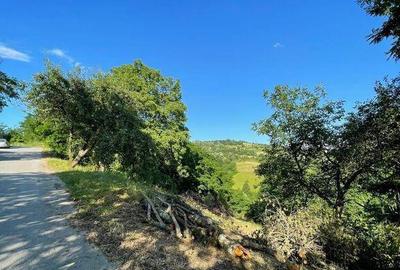 Teren zona turistica Rosia - 2