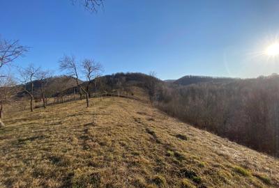 Casă cu 4 camere în Ciucea - 3