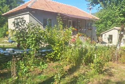 Casa de vanzare mobilata ?i utilata - 10