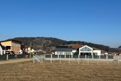 Teren de 800 mp, în Sânpetru - 2