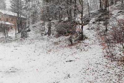 Teren intravilan situat in Busteni Teren intravilan situat in Busteni - 8