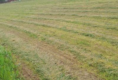 Spațiu comercial, în Gostinari - 3