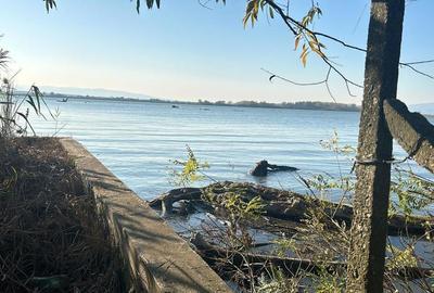 TEREN INTRAVILAN LA DUNARE sat. Macesti - 10