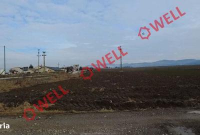 Spațiu comercial, în Tușnad - 9