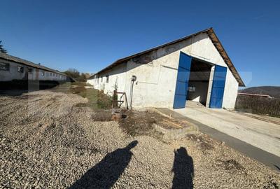 Spațiu comercial, de 700 mp, în Industrială - 1