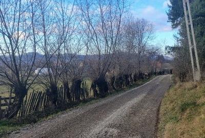 Teren 719 mp la liziera pădurii – Întorsura Buzăului | Fezabilitate demonstrată - 5