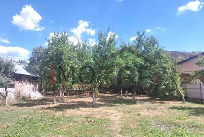 Casa veche si teren Izvorani - toate utilitatile - 8