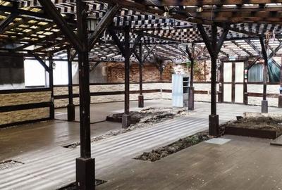Spațiu comercial, de 1,600 mp, în Romană - 1