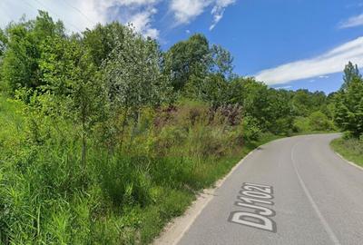 Teren de 3274 mp, în Lunca Mare - 4