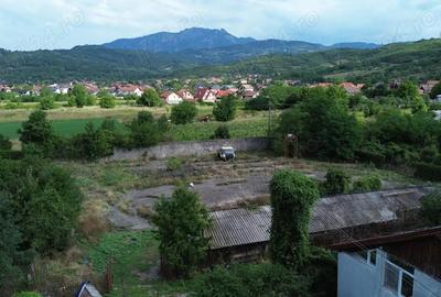 Casă cu Teren 4000 Mp în Central - 2