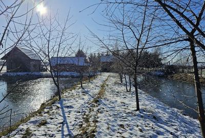 Casa de vacanta cu 6 camere + teren suprafata 7.384 mp, Bradet, Bihor - 5