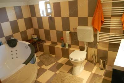 Casa de vanzare P+1 4 camere Belciugatele -Calarasi - 9