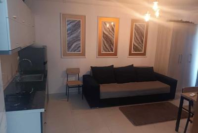 Apartament cu 2 camere semidecomandat în Chiajna - 5