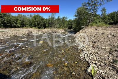 Teren extravilan cu utilitati 1800 mp langa Rau pe Valea Sebesului - 1