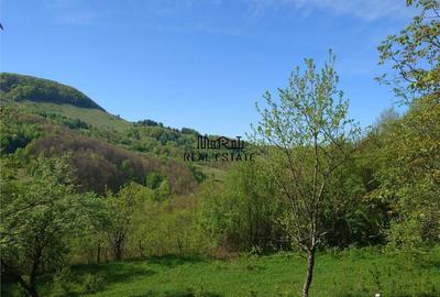 Teren intravilan si cladire in Apuseni, Blajeni, Hd - 8