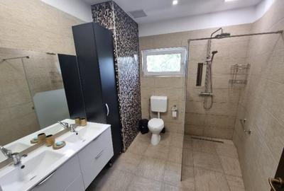 Spațiu comercial, de 335 mp, în Colentina - 1
