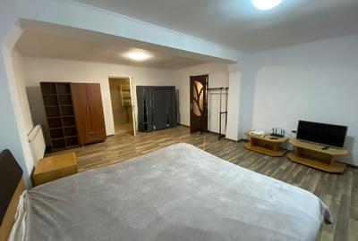 Apartament cu 2 camere semidecomandat, mobilat în Sub Arini - 7