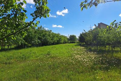 Casă cu 6 camere cu Teren 4200 Mp în Central - 2