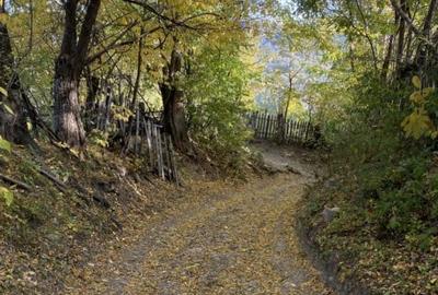 Teren retras panoramic Valea Doftanei 1350 mp panta lina, cu utilitati - 11