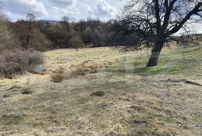 Teren extravilan in suprafata de 7500 mp la poalele Mesesului - 3