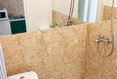 Garsonieră nedecomandată în Take Ionescu - 5