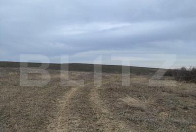 Teren intravilan industrial, 14458mp, centura de Est - 9