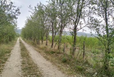 Oportunitate de investitie, teren intravilan, 6018 mp, Ungur - 2