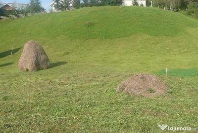 Teren de 11000 mp, în Valea Doftanei - 8