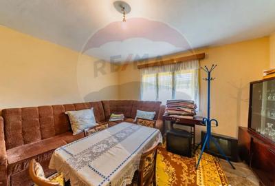 Casă cu 2 camere cu Teren 4500 Mp în Cărand - 1