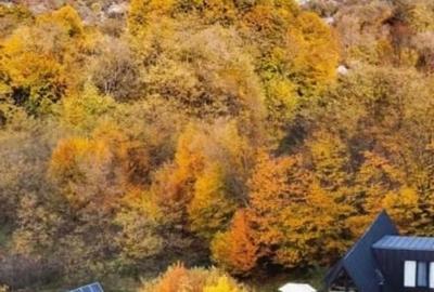 Cabana A frame situata la marginea padurii de foioase - 16