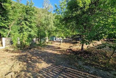 Casă cu 4 camere cu Teren 3215 Mp în Băița - 15