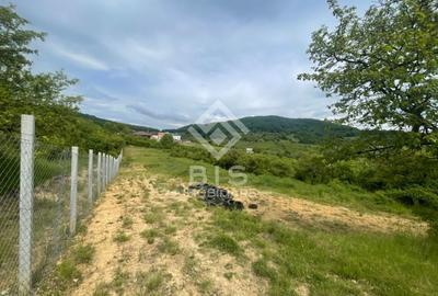 Teren de 3000 mp, în Central - 4