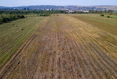 Teren intravilan, 2.800 m2, Cluj-Napoca - 5
