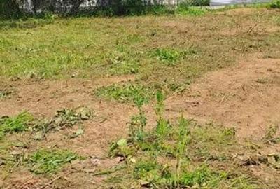 Teren de 3415 mp, în Tăuții-Măgherăuș - 2