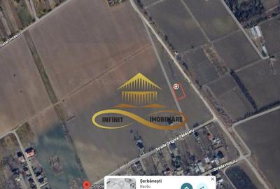 Teren Intravilan in Serbanesti, Bacau - 1