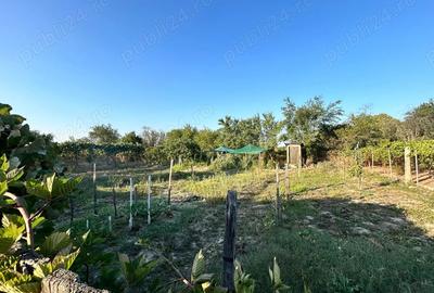 Vand casa batranesca + 1000mp teren intravilan, com. Dragutesti, sat Urechesti - 9