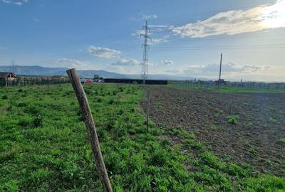 Spațiu comercial, în Șelimbăr - 5