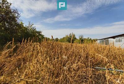 Casă cu 4 camere cu Teren 1184 Mp în Pâncota - 9