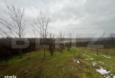 Teren de 2298 mp, în Robănești - 3