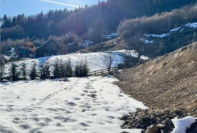 Casă cu 4 camere cu Teren 1500 Mp în Horea - 8