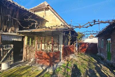 Casă cu Teren 900 Mp în Buteni - 4