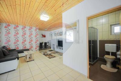 Casa si teren de 1397 mp de vanzare in Ineu, la 18 km de Oradea - 26