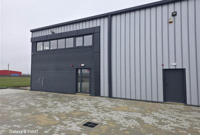 Spațiu industrial, de 1,500 mp, în Mogoșoaia - 2