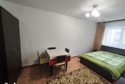 Garsonieră decomandată în Delfinariu - 2