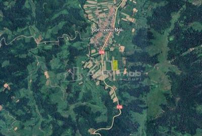 Borlovenii Noi, Teren Drept, 16000mp, la Limita Localitatii - 15