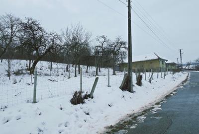 Casa cu Anexe, Gradina + 2Ha Terenuri - 5