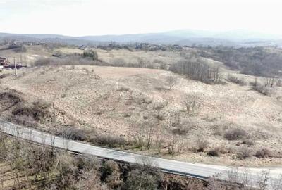 Spațiu comercial, în Bârzulești - 5